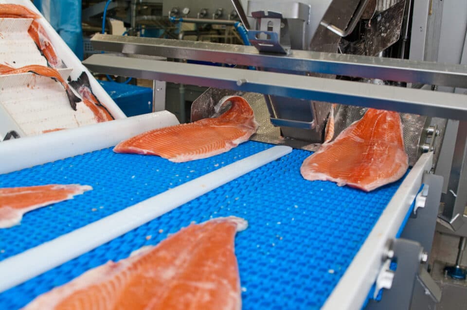 Maritech Enterprise Resource Planning System: ERP Software for the Seafood Industry