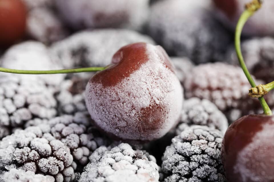 Extreme closeup of frozen mulberries and cherries.