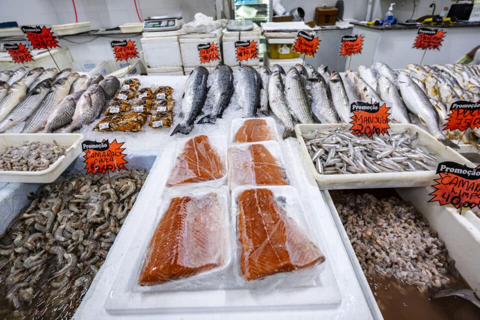 salmon, shrimp and other fish deposited in ice on fishmonger shelf. Santos city, Brazil.