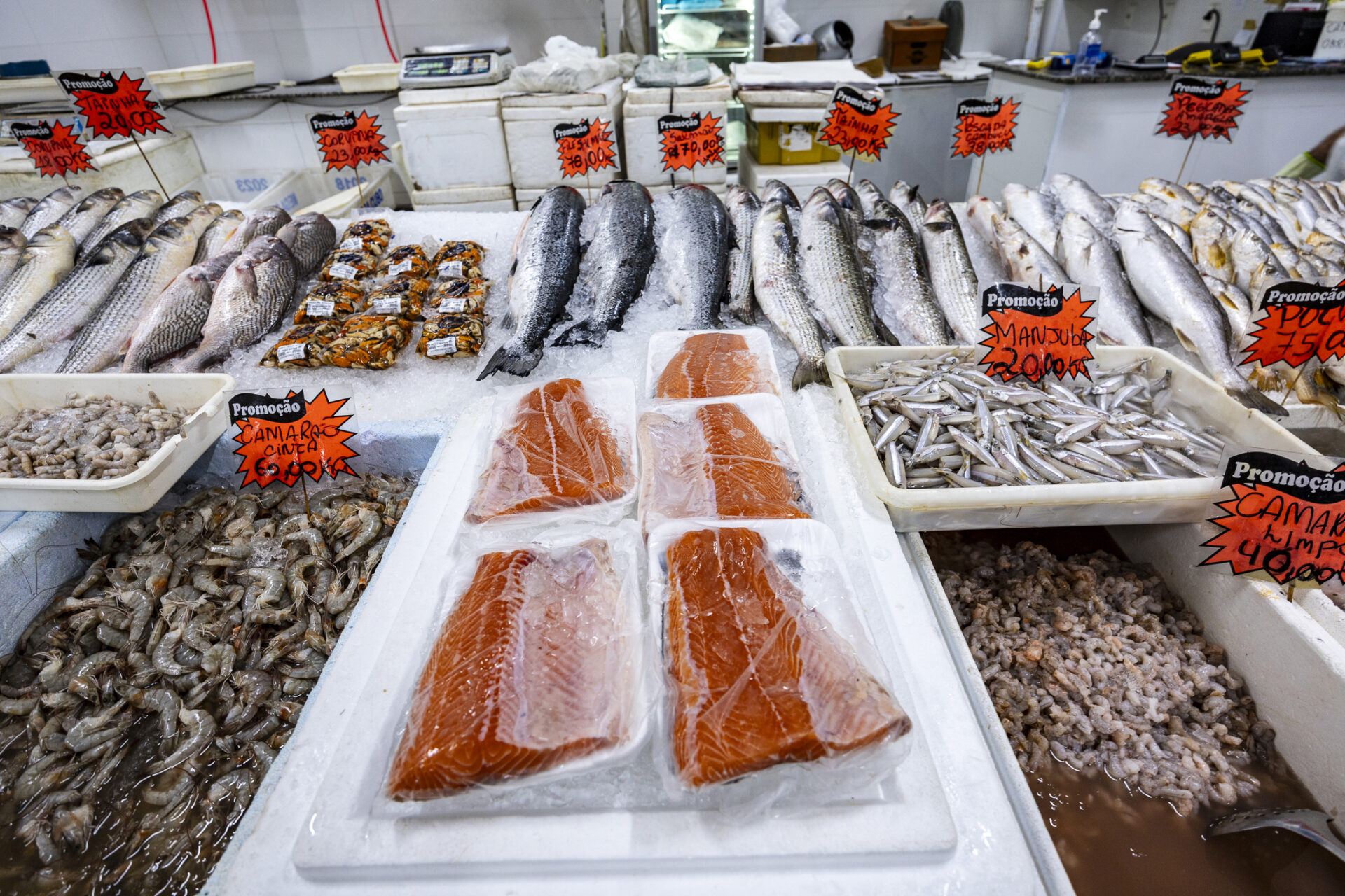 Salmão, camarão e outros peixes dispostos sobre gelo na bancada de um peixeiro. Cidade de Santos, Brasil.