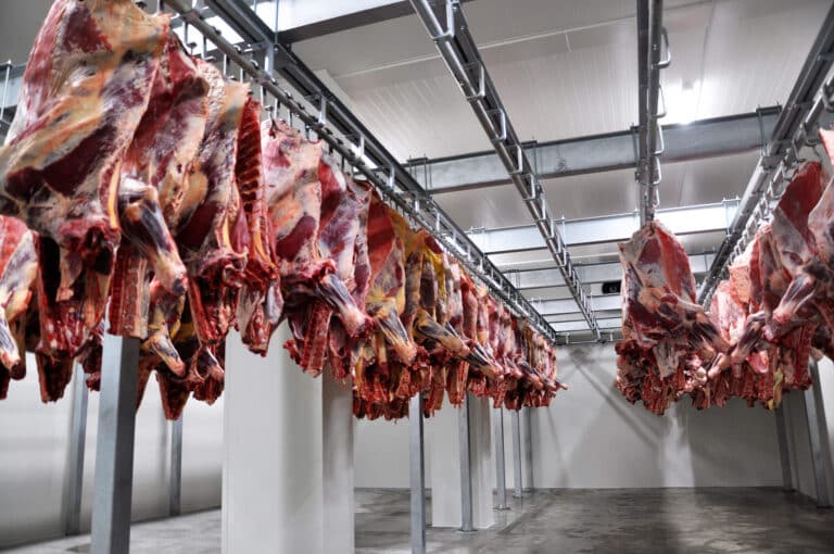 Meat Processing Sector