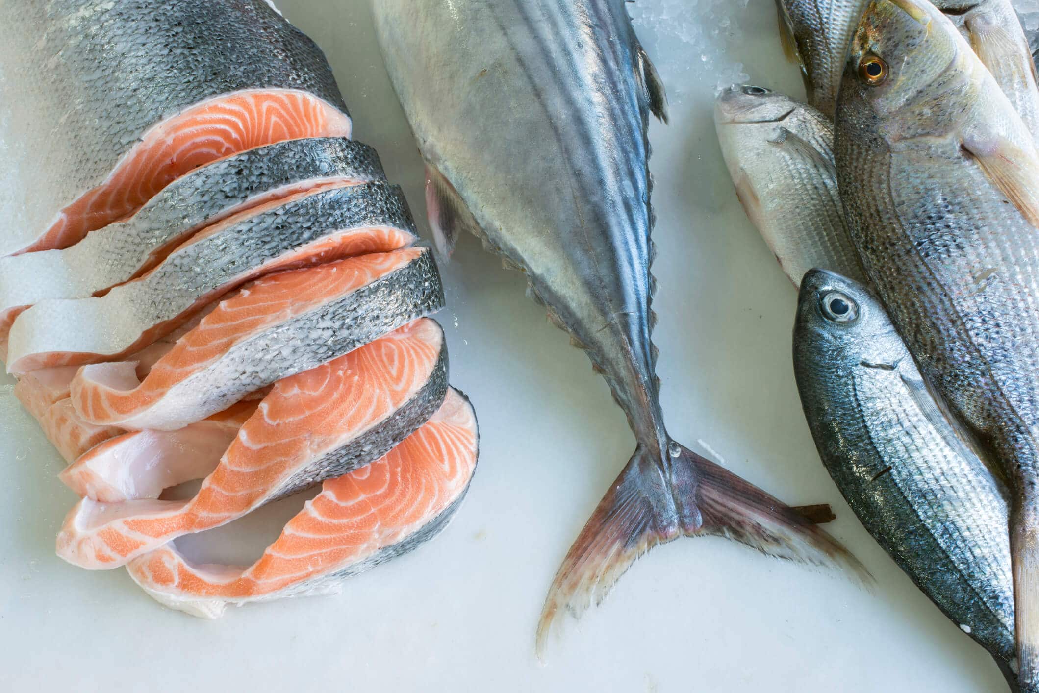 Seafood Traceability Meet Modern Demands with Advanced ERP Solutions