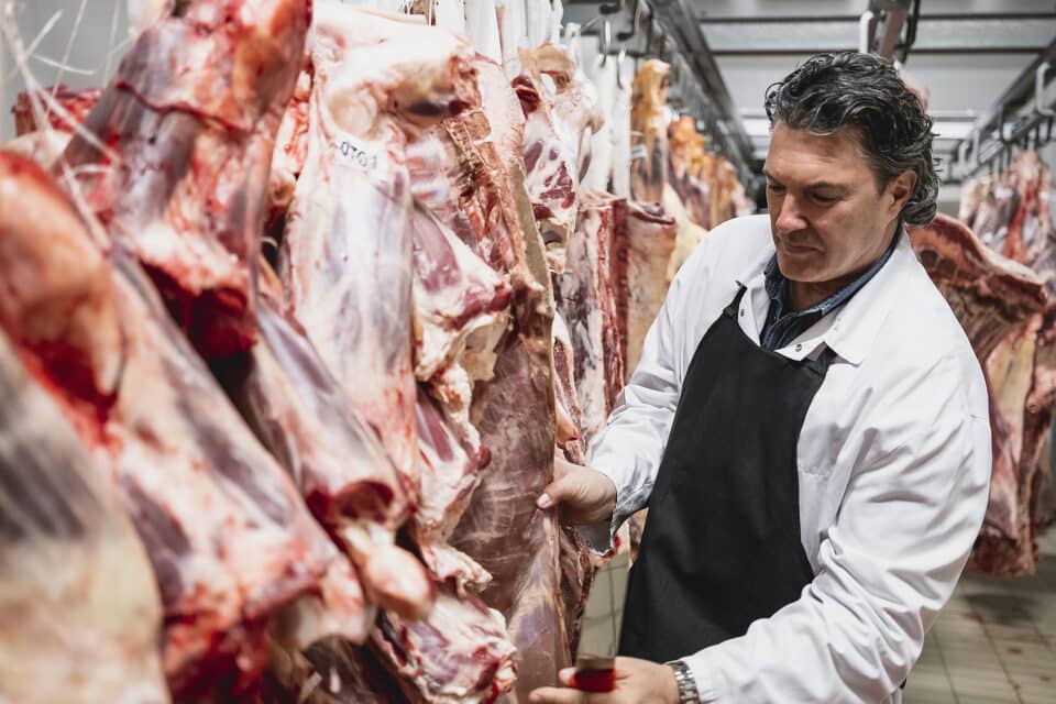 Meat industry slaughterhouse and food processing