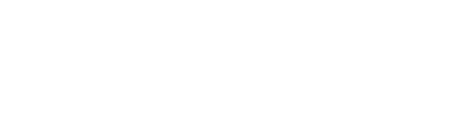 Solutions 184 Tollverket