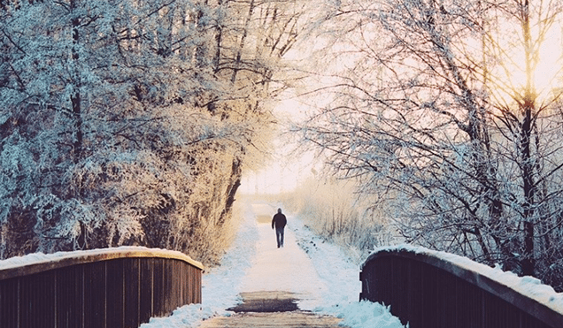 snow-day-blog