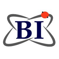 Solutions 193 Business Intelligence Consulting