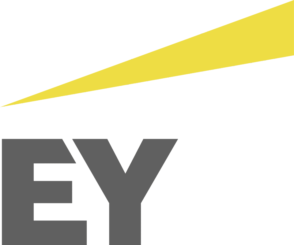 Solutions 58 Ernst & Young