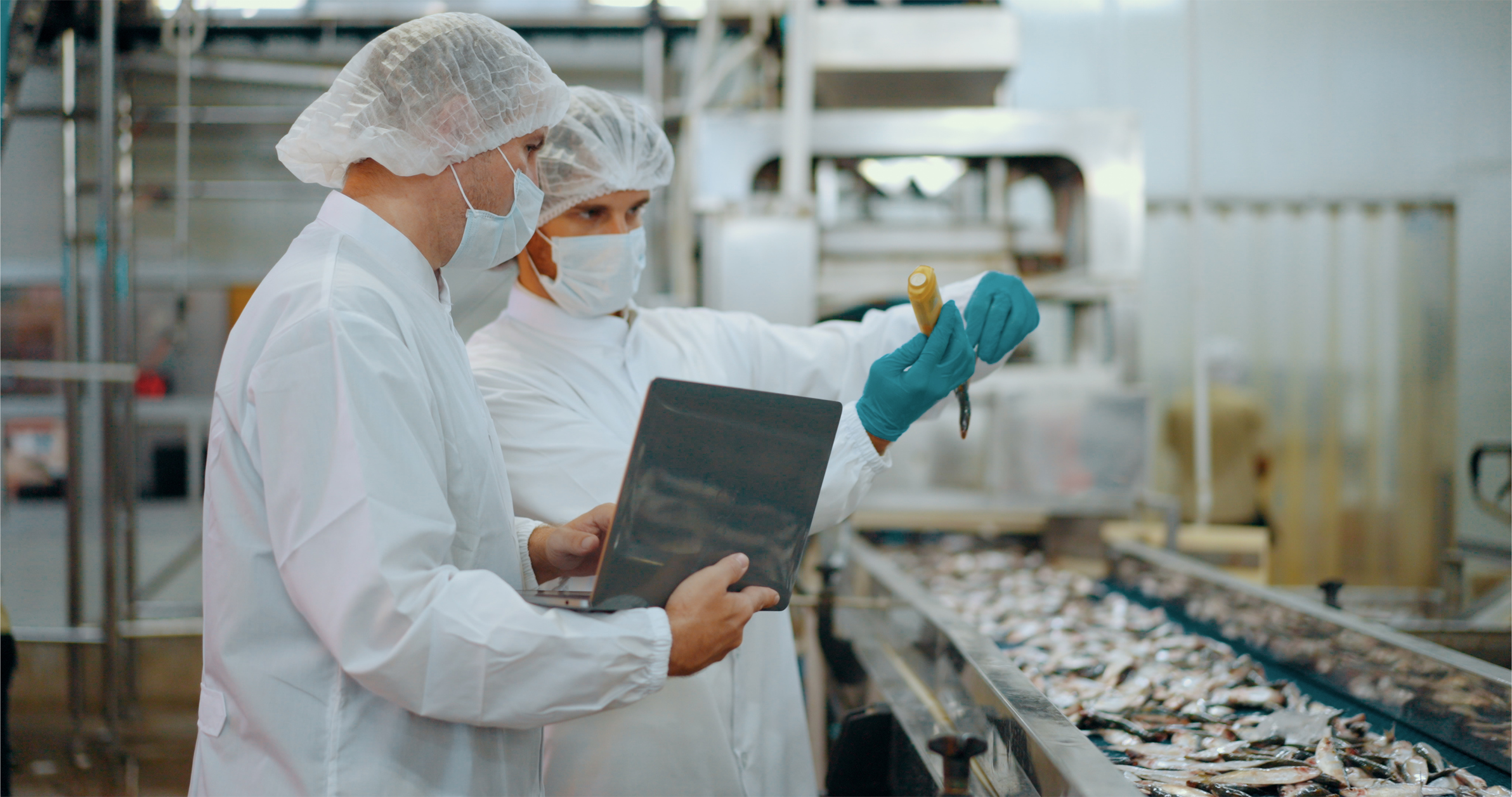 Inspección de control de calidad en una fábrica de procesamiento de productos del mar.